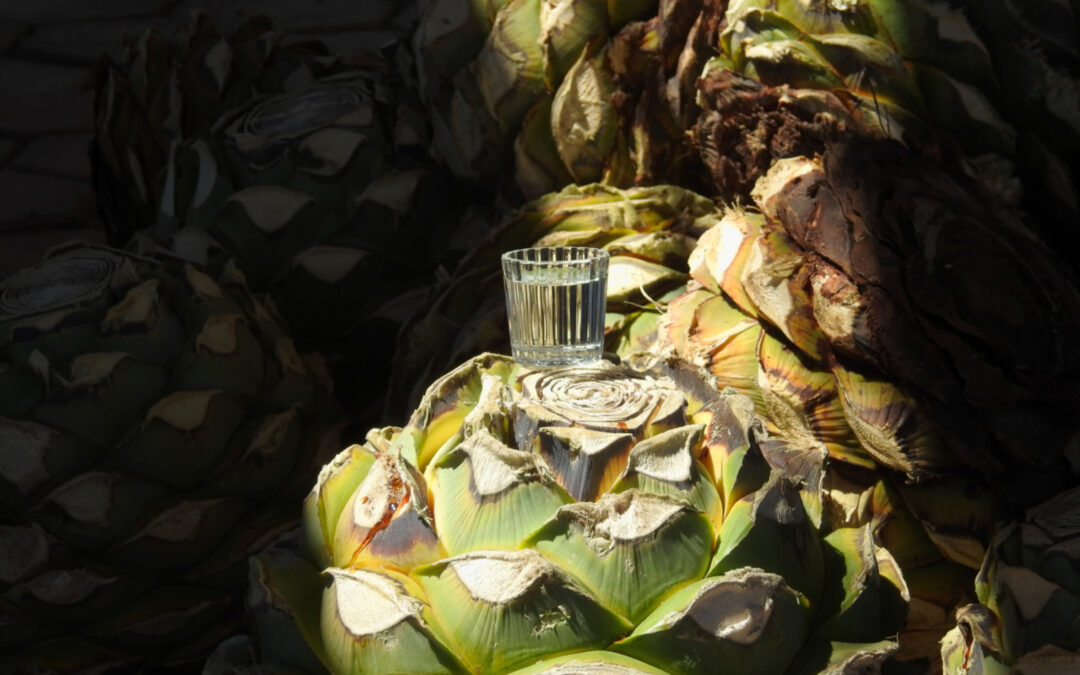 Tequila and Mezcal – Mexican Spirits Explained